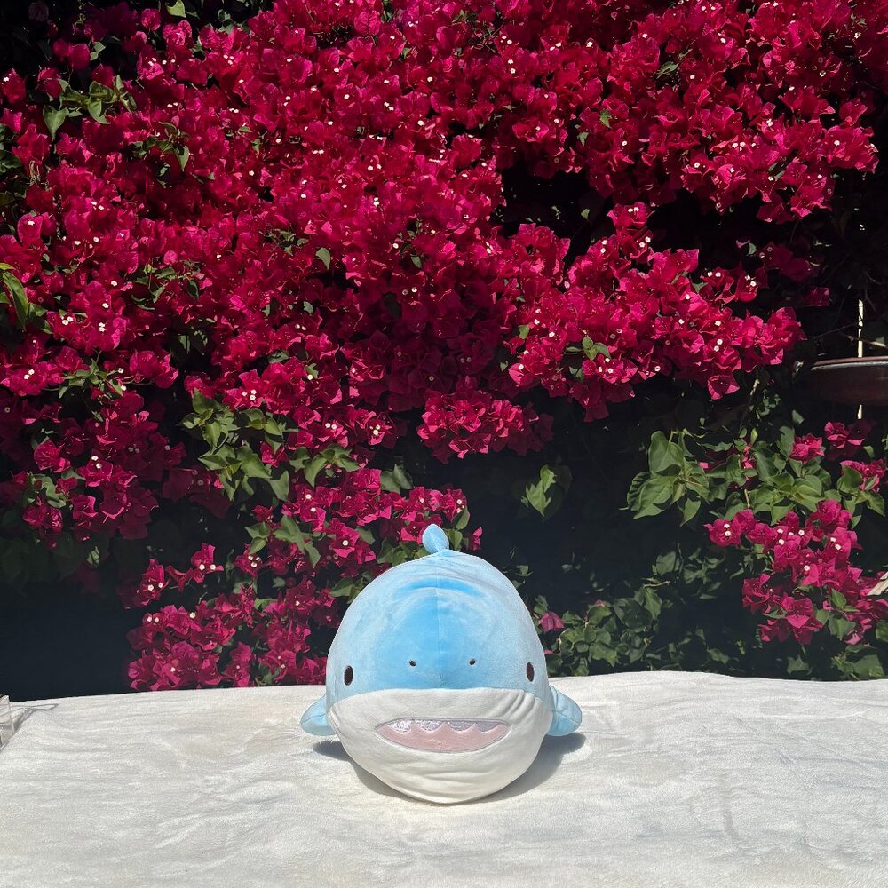 Cute Blue Shark Plush Mochi (*Rare find*)